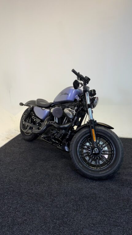2019 HARLEY DAVIDSON IRON 48
